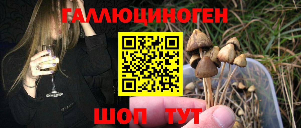 Галлюциногенные грибы прущие грибы Вышний Волочёк